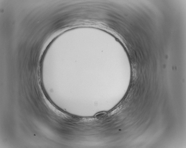 X0000070381531200607072141