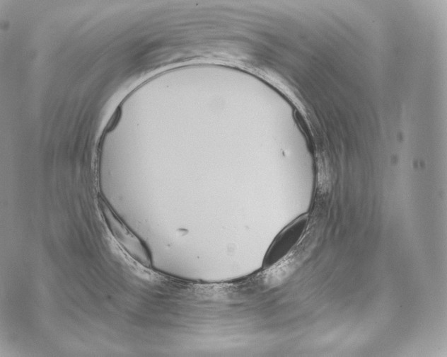 X0000070381532200607072141