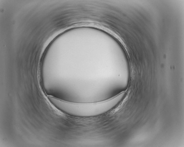 X0000070381533200607072141