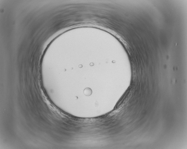 X0000070381534200607072141