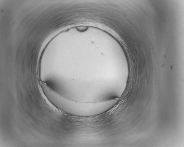 X0000070381536200607072141