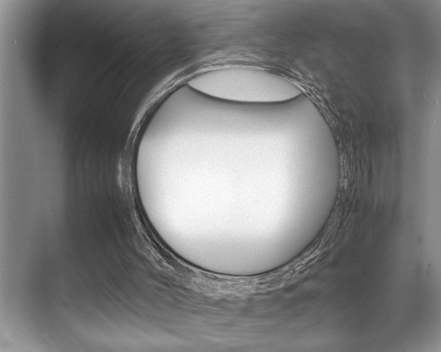 X0000070390004200606090913