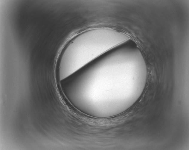 X0000070390006200606090912