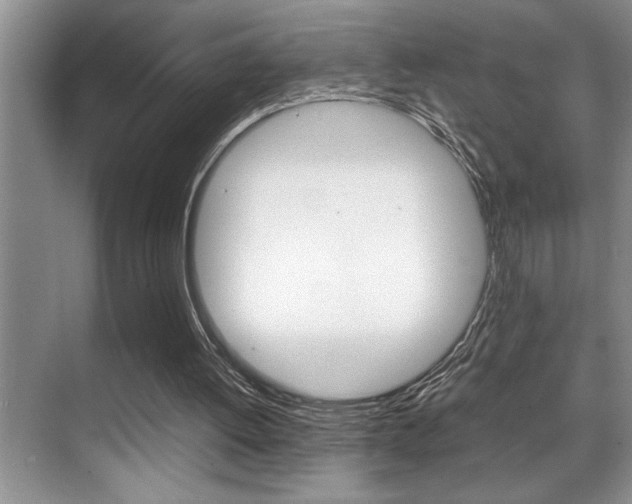X0000070390052200606090911