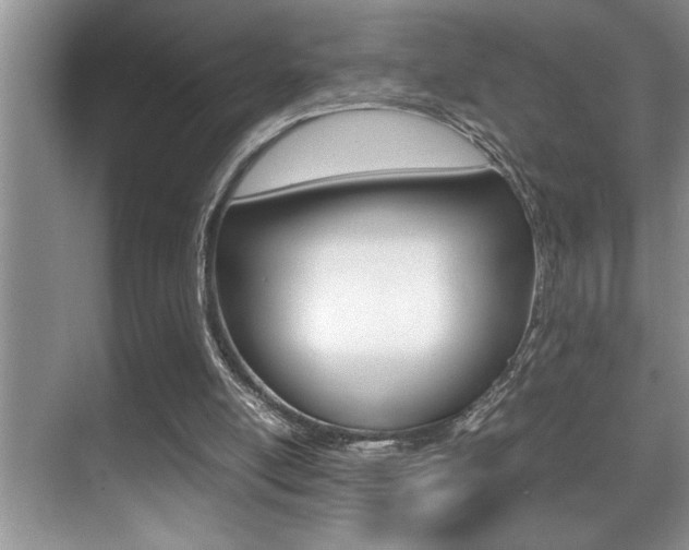 X0000070390054200606090911