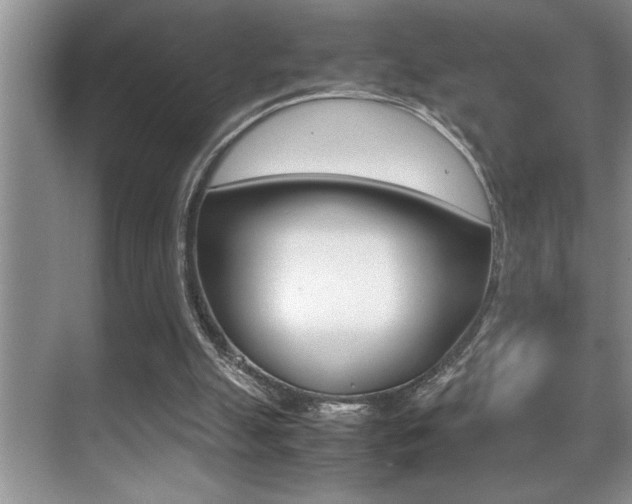 X0000070390055200606090911