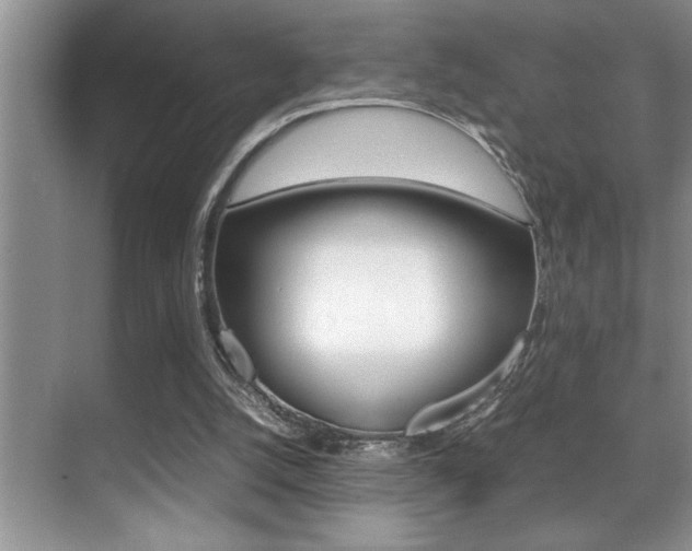 X0000070390056200606090911