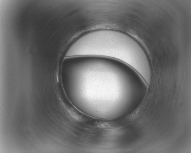 X0000070390062200606090911