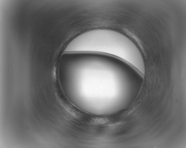X0000070390067200606090911