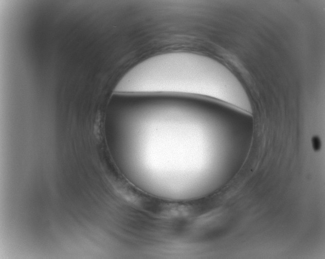 X0000070390073200606090911