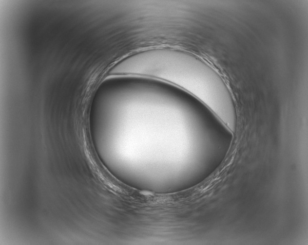 X0000070390097200606090911