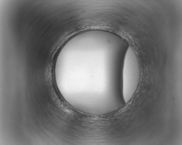 X0000070390098200606090911
