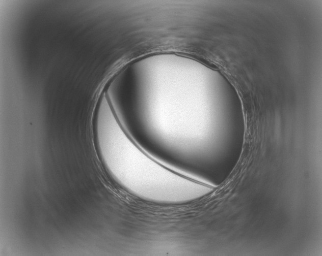 X0000070390099200606090911