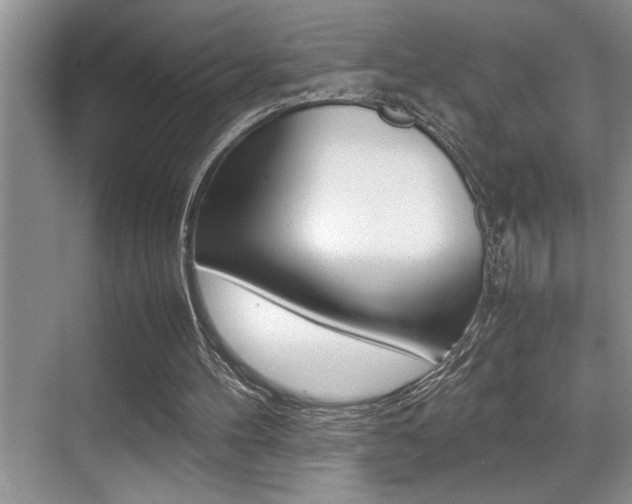 X0000070390100200606090911