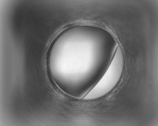 X0000070390103200606090911