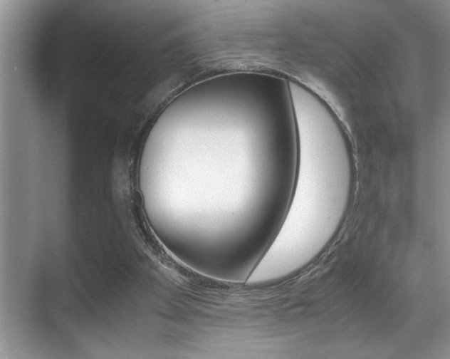 X0000070390105200606090911