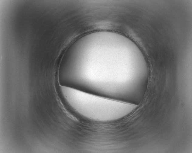 X0000070390106200606090911