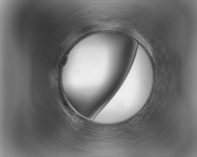 X0000070390107200606090911