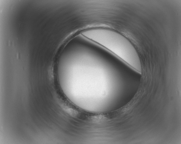 X0000070390112200606090911