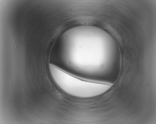 X0000070390113200606090911