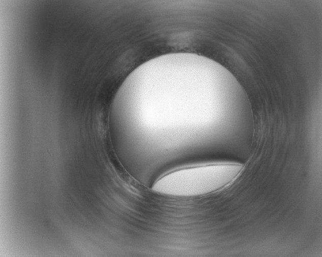 X0000070390136200606090910
