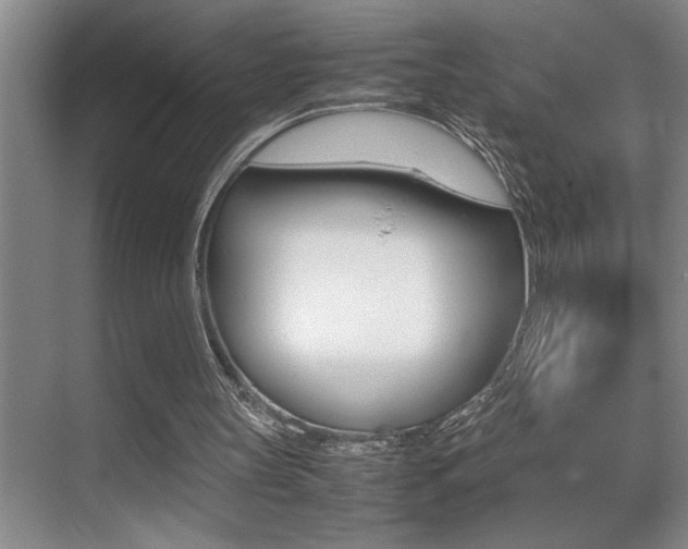 X0000070390147200606090909