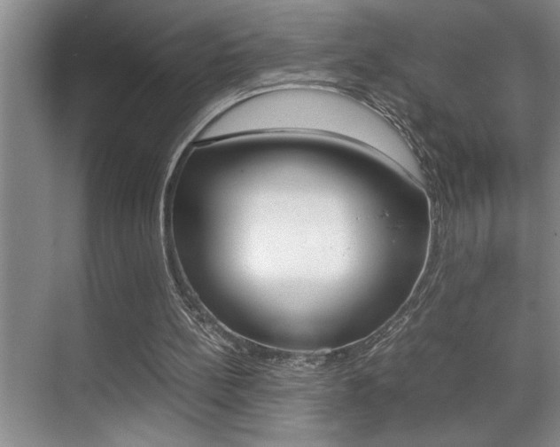 X0000070390148200606090909