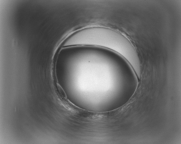 X0000070390152200606090909