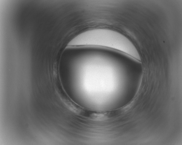 X0000070390170200606090910