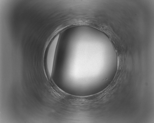 X0000070390195200606090909