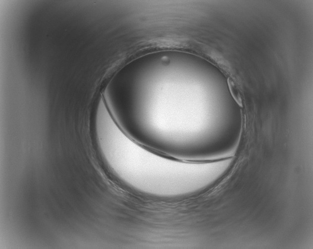 X0000070390201200606090909