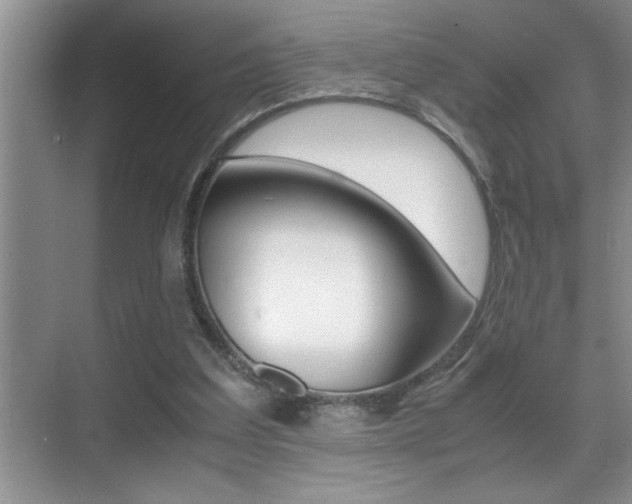 X0000070390203200606090909