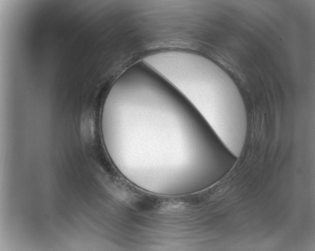 X0000070390206200606090909