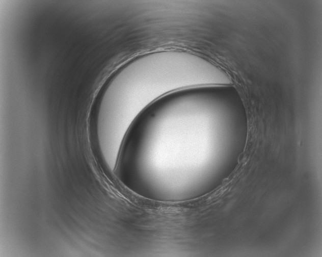 X0000070390242200606090908