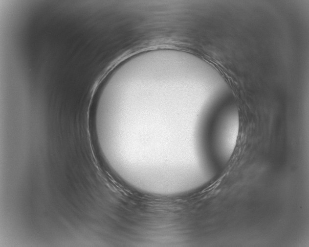 X0000070390244200606090908