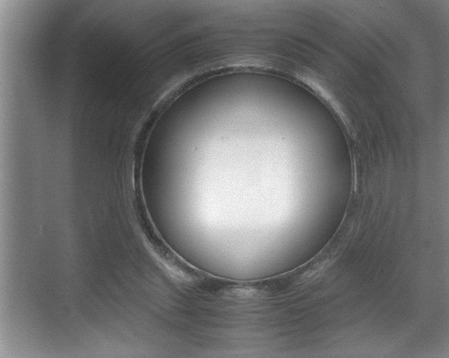 X0000070390253200606090908