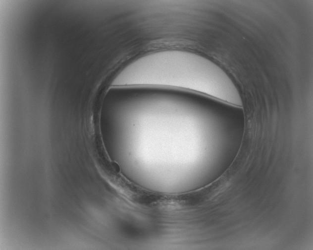X0000070390254200606090908