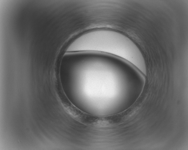 X0000070390256200606090908