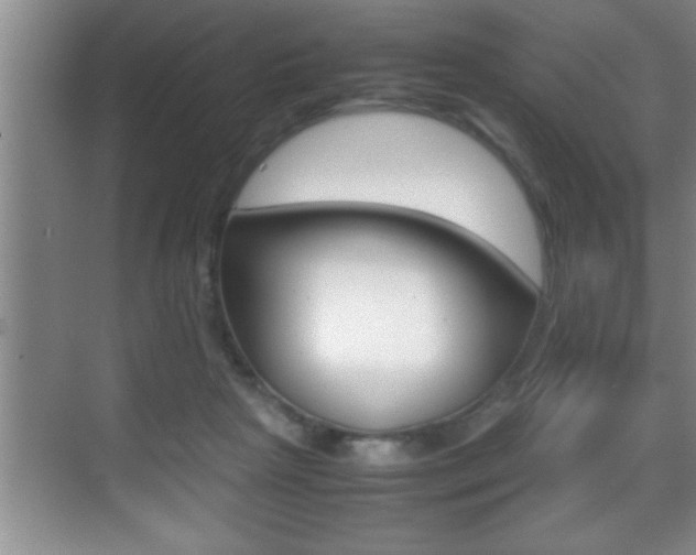 X0000070390265200606090908