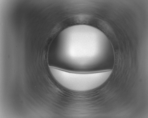 X0000070390266200606090908