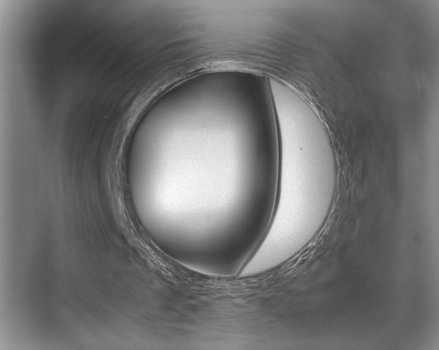 X0000070390289200606090908