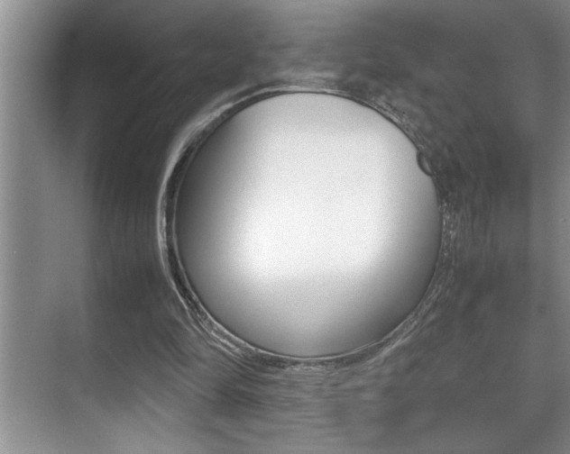 X0000070390294200606090908