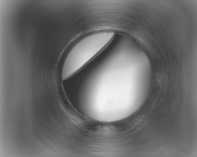 X0000070390304200606090907
