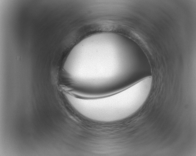 X0000070390307200606090907