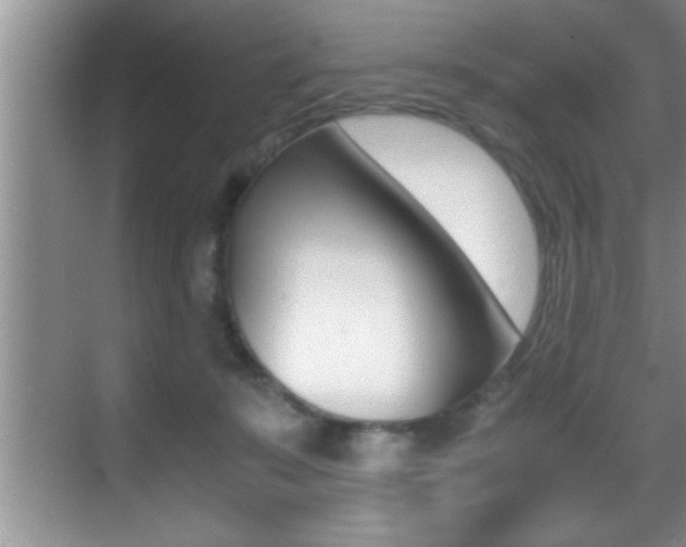 X0000070390319200606090907