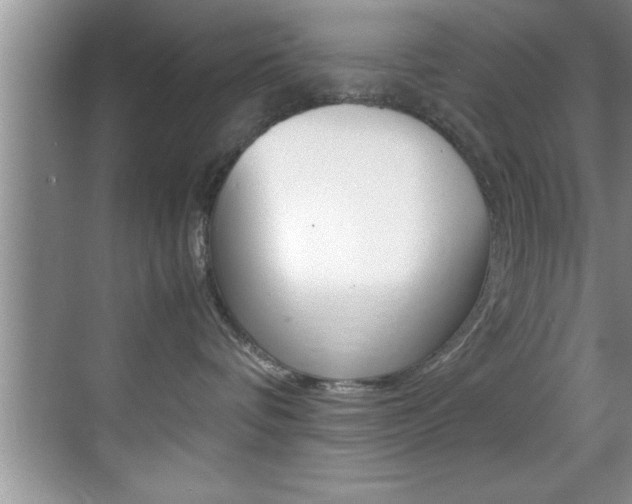 X0000070390336200606090907