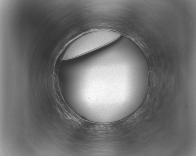 X0000070390338200606090906