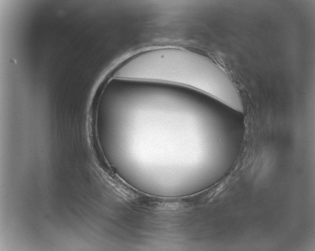 X0000070390342200606090906