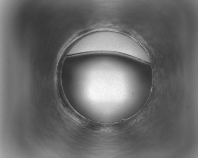 X0000070390344200606090906