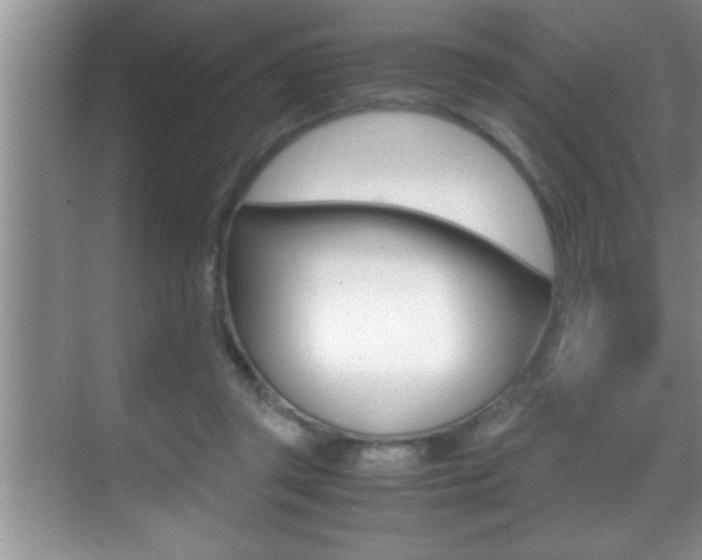 X0000070390357200606090906
